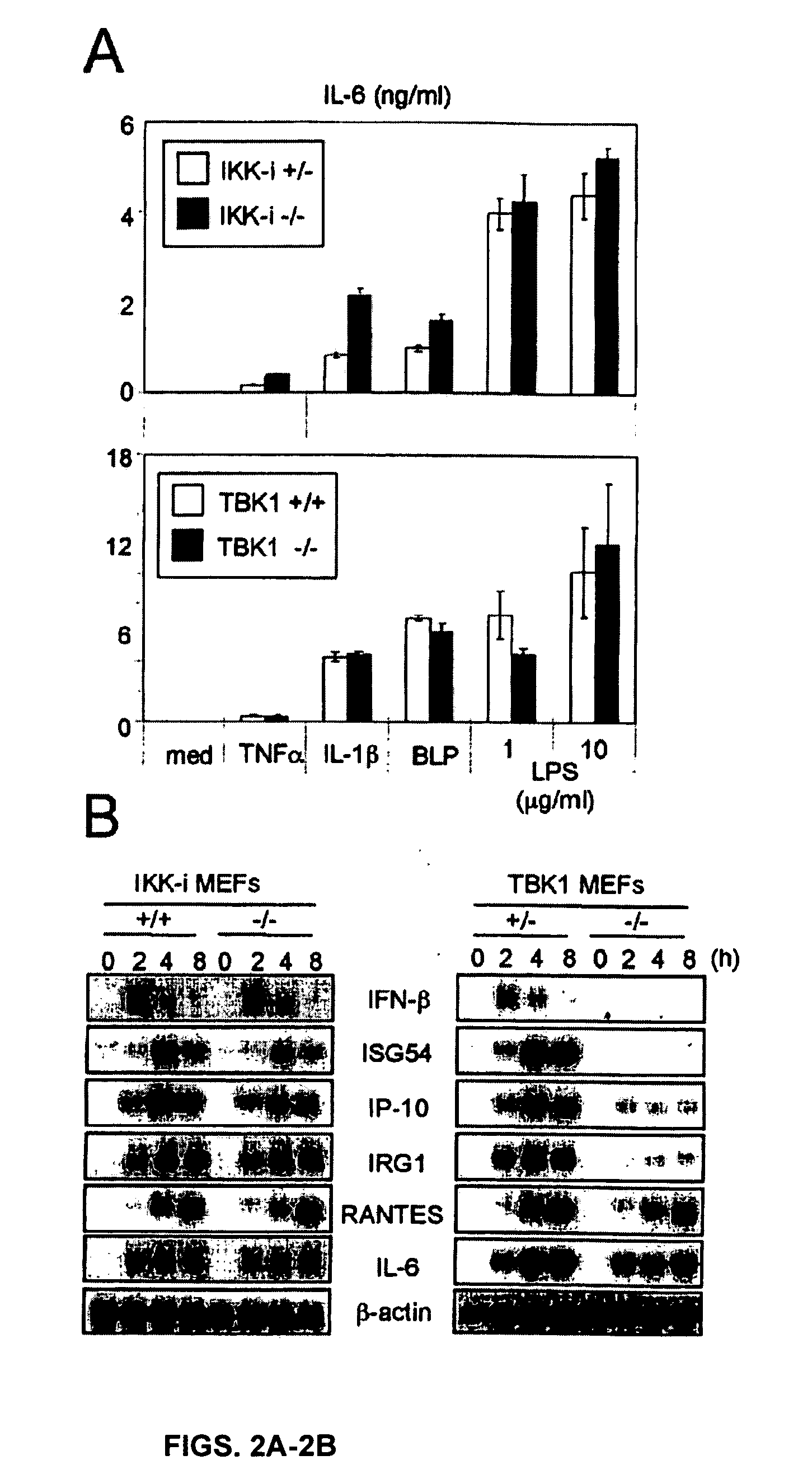 Screening Method With The Use Of TBK1 Knockout Mouse
