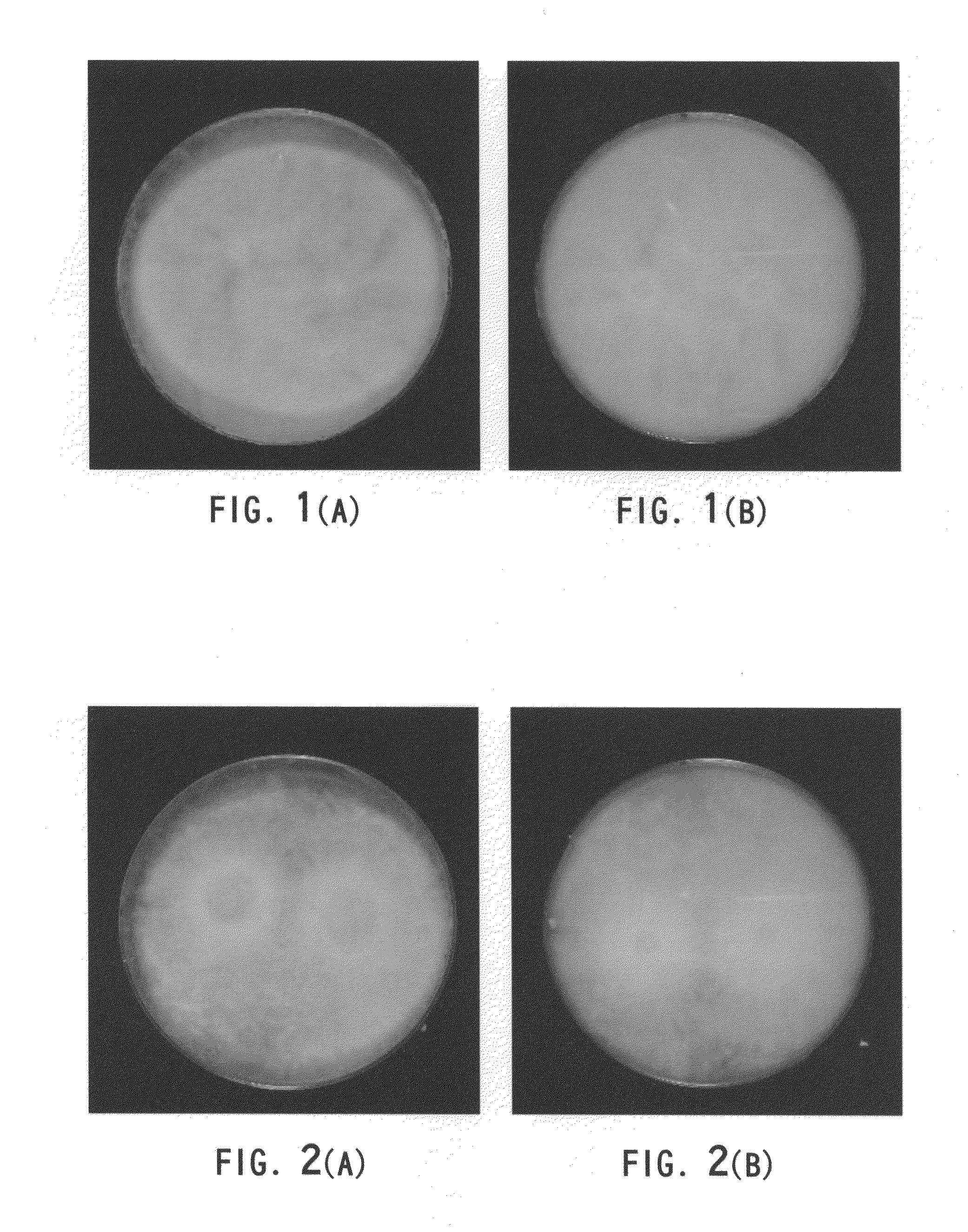 Mushroom plants named 'PLE-3' and 'PLE-5'