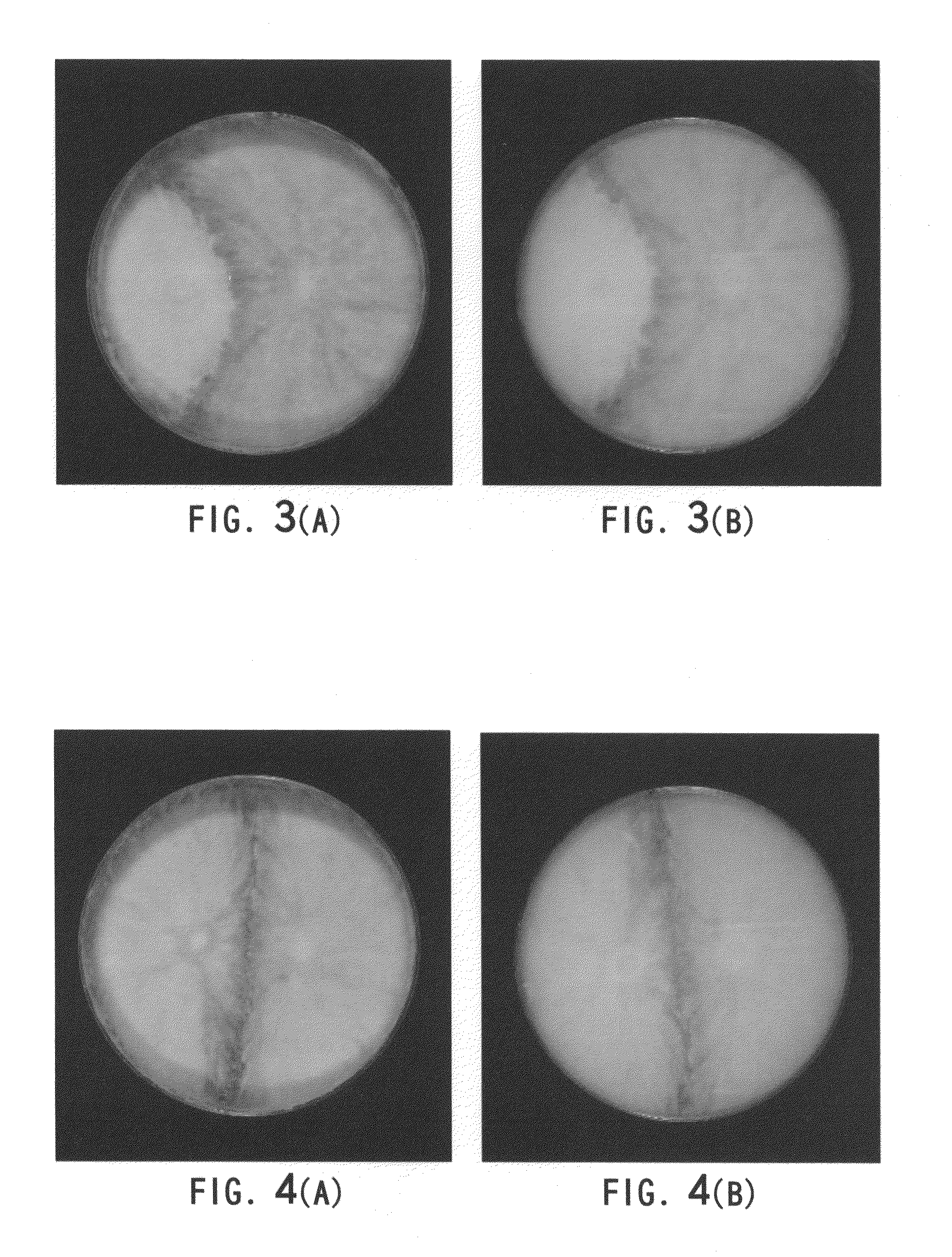 Mushroom plants named 'PLE-3' and 'PLE-5'