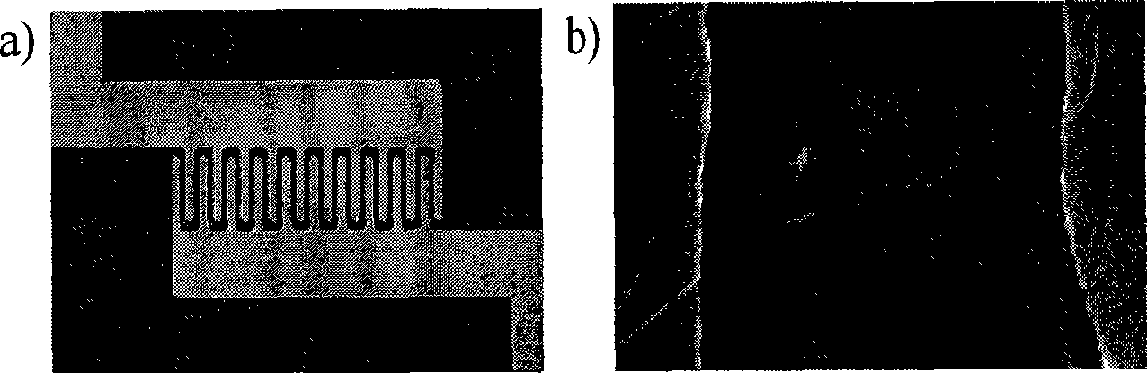 Method for manufacturing biological detector of field effect transistor based on carbon nano tube