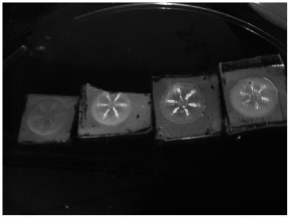 Hexagonal radial photonic crystal film without obvious defects and preparation method thereof