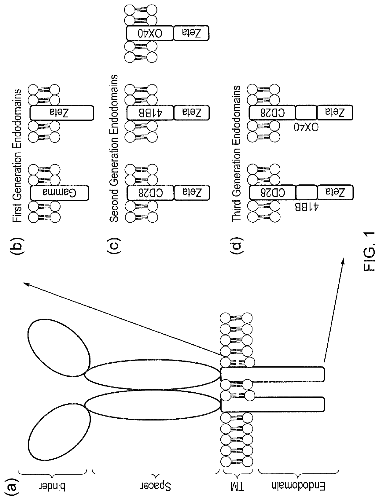 Signalling system