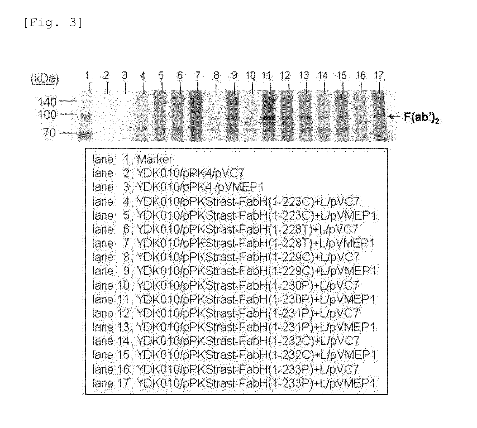 Method for Secretory Production of Protein