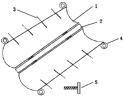 Device and method for washing cavernous bodies of male animal external genitals