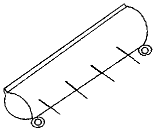 Device and method for washing cavernous bodies of male animal external genitals