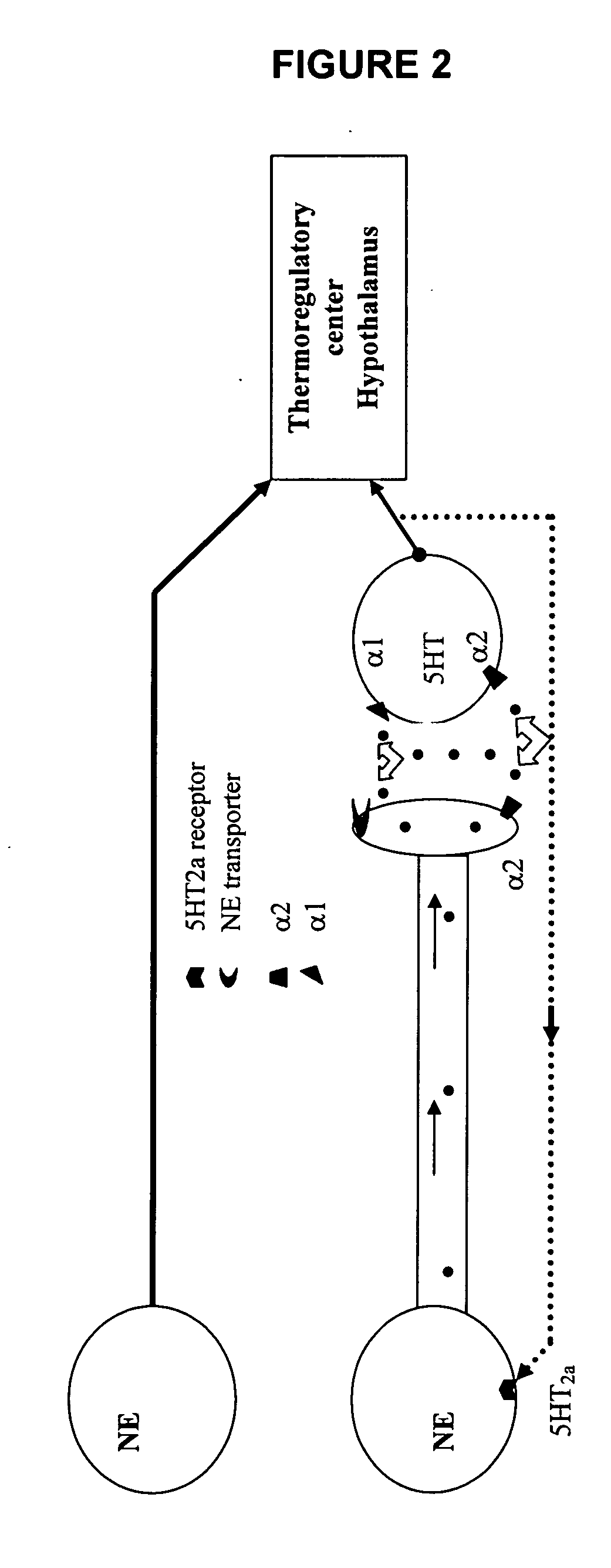 Phenylaminopropanol derivatives and methods of their use