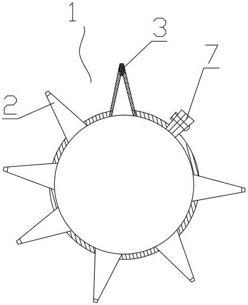 Acaudina molpadioides semper nutritional health-care meat balls and making method thereof