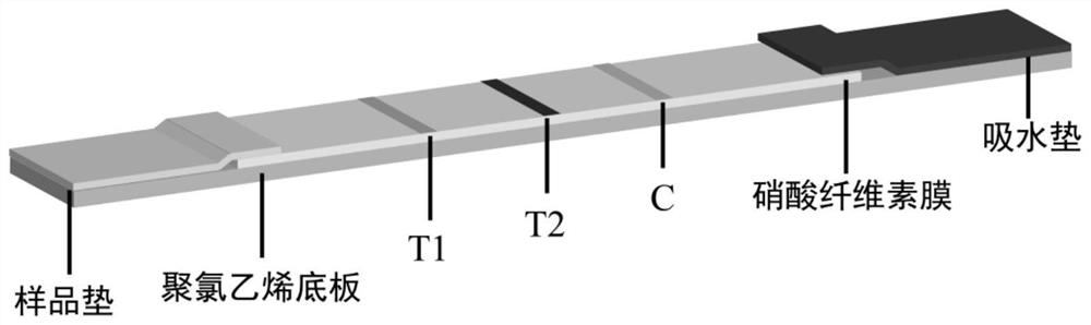 Aggregation-induced emission immunochromatography kit for detecting two nitrofuran metabolites and application thereof