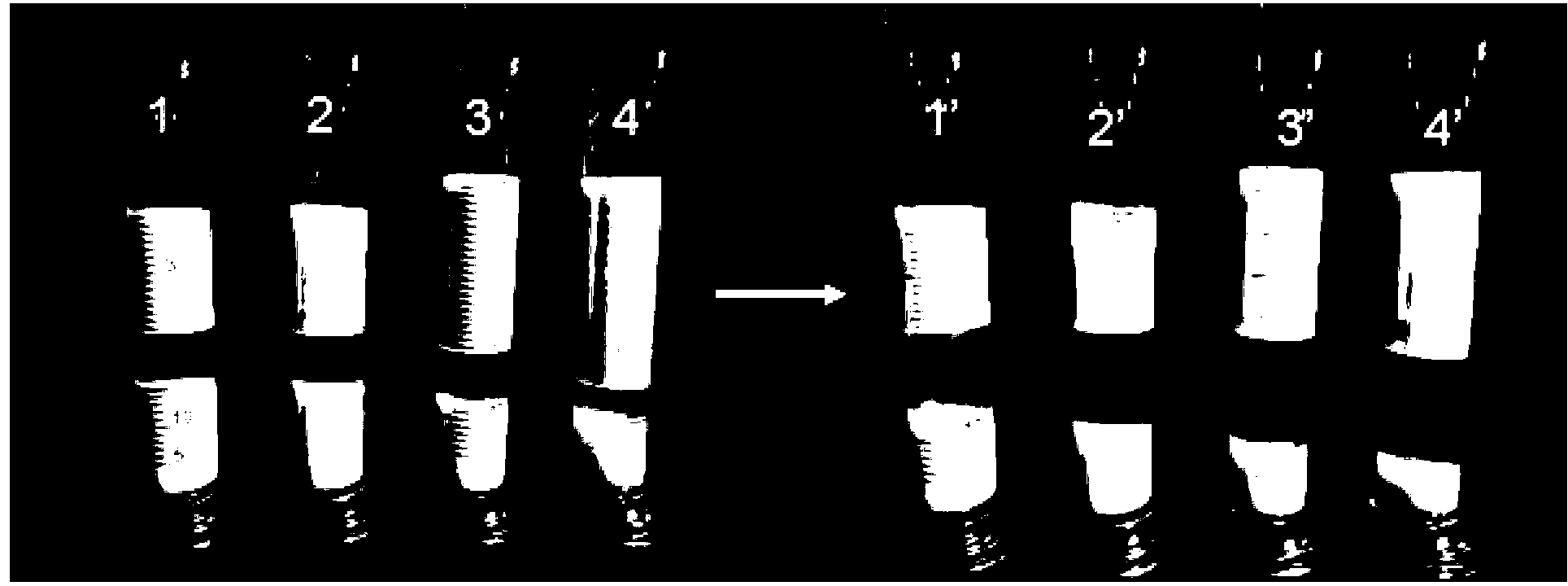 Soybean protein and preparation method thereof