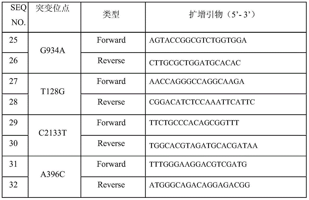 Excision repair cross complementation group 2 (ERCC2) gene mutation detection specific primers and liquid chip kit