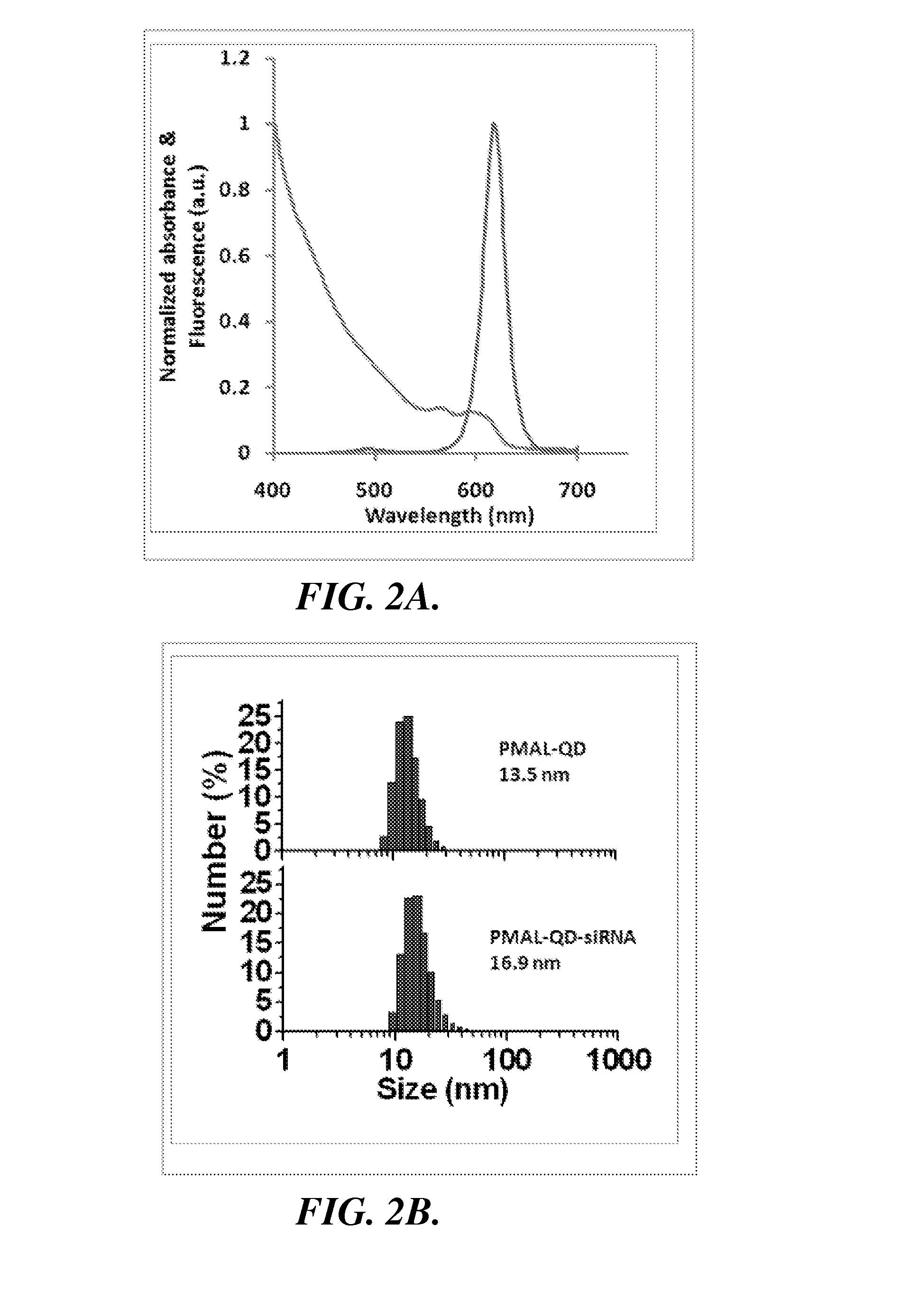 Nanoparticle-amphipol complexes for nucleic acid intracellular delivery and imaging