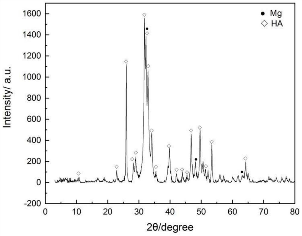 Hydroxyapatite coating with biological activity and hierarchical structure on surface of degradable magnesium-based endosteal implant and preparation method