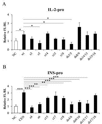 Activated siRNA able to enhance gene expression