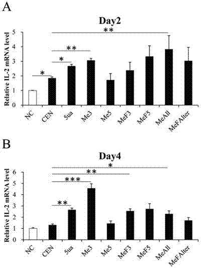 Activated siRNA able to enhance gene expression