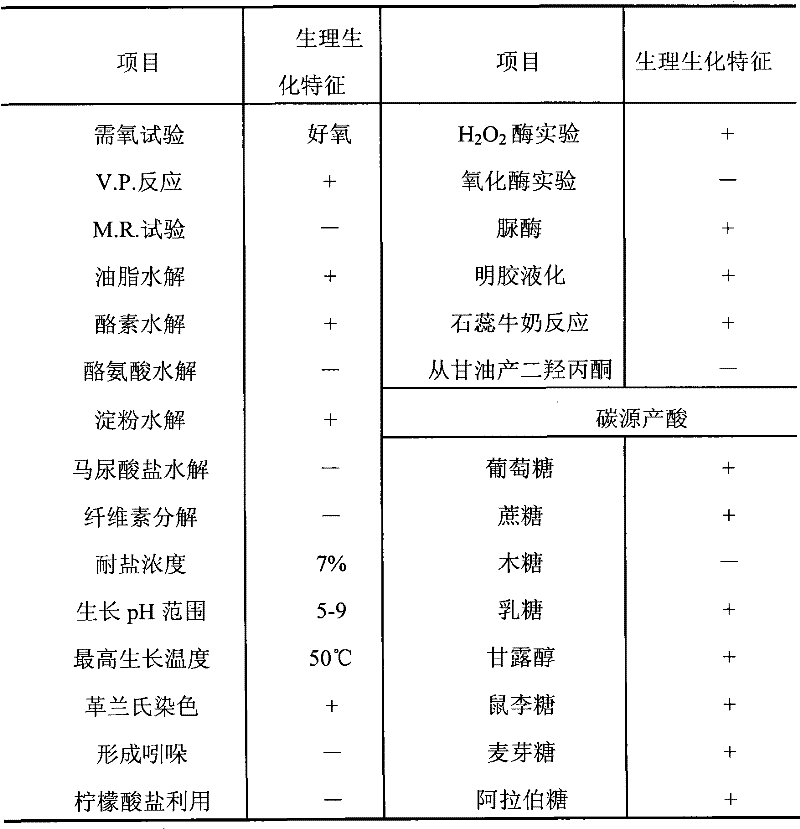 Bacillus subtilis strain and application thereof in synthesis of iminodiacetic acid