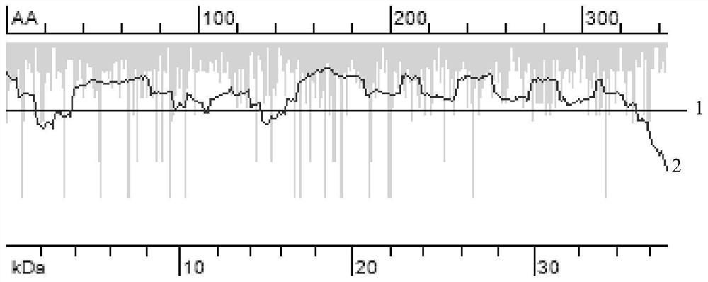 Coding sequence of fibronectin mutant with high expression quantity and strong activity and application of coding sequence