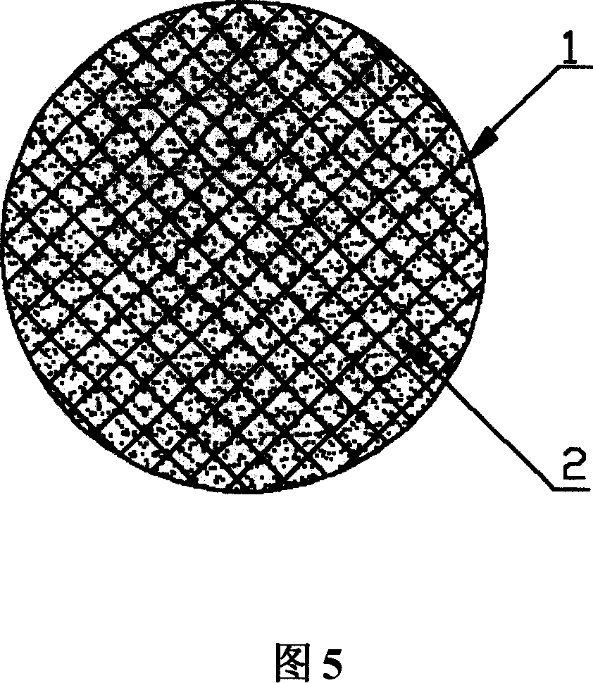 Acoustic-sensitive stent with restricture proof function