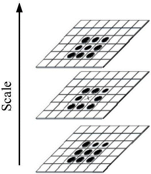 Performance evaluation method for rolling bearing under multiple operating conditions based on geometric measurement