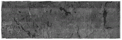 Real-time panoramic stitching method and system for unmanned aerial vehicle images