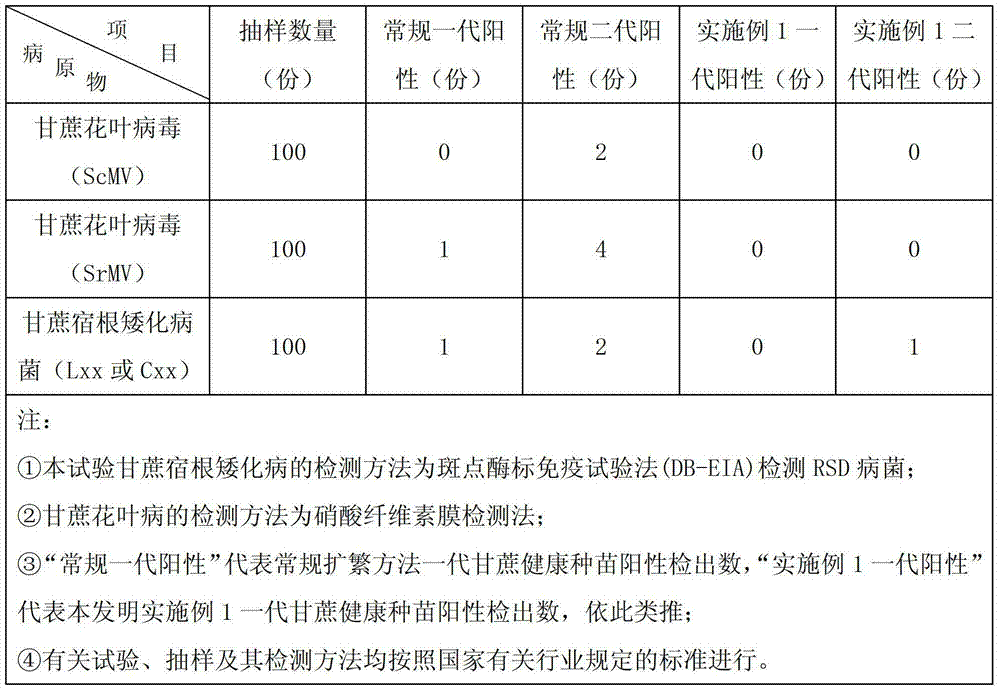 Propagation method for healthy sugarcane seedlings in temporary planting nursery