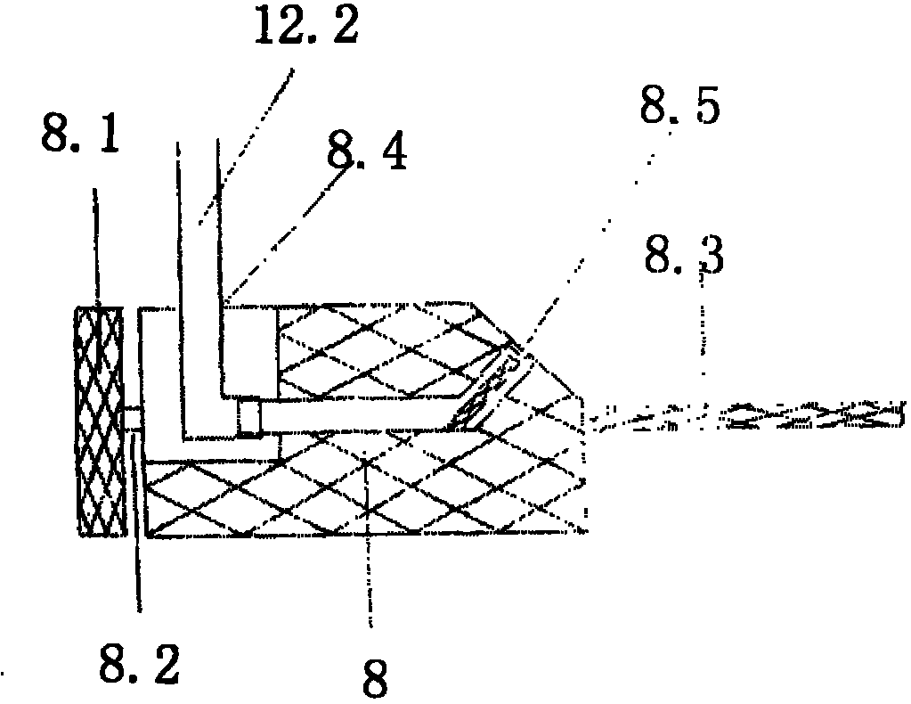 Male genitals cleaning device