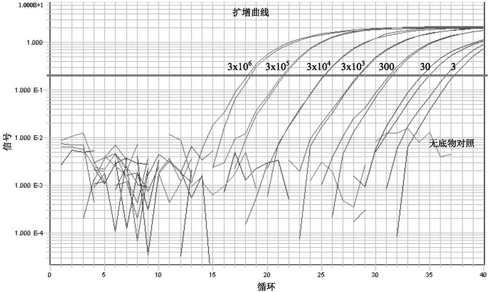 Quantitative PCR method adopting dye EvaGreen and dual HotStar polymerases