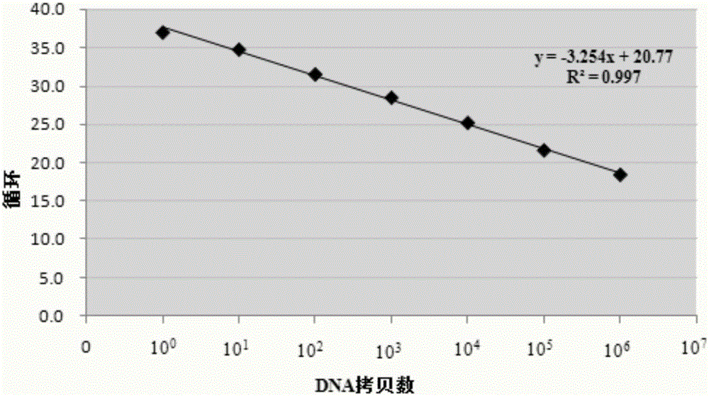 Quantitative PCR method adopting dye EvaGreen and dual HotStar polymerases