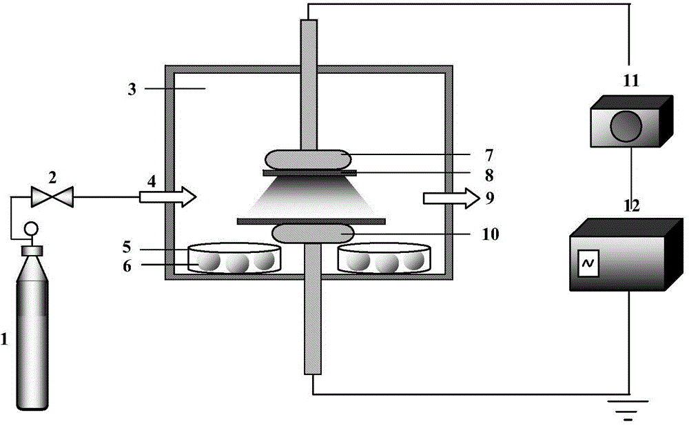 Method for increasing nutritive value of blueberries during storage period