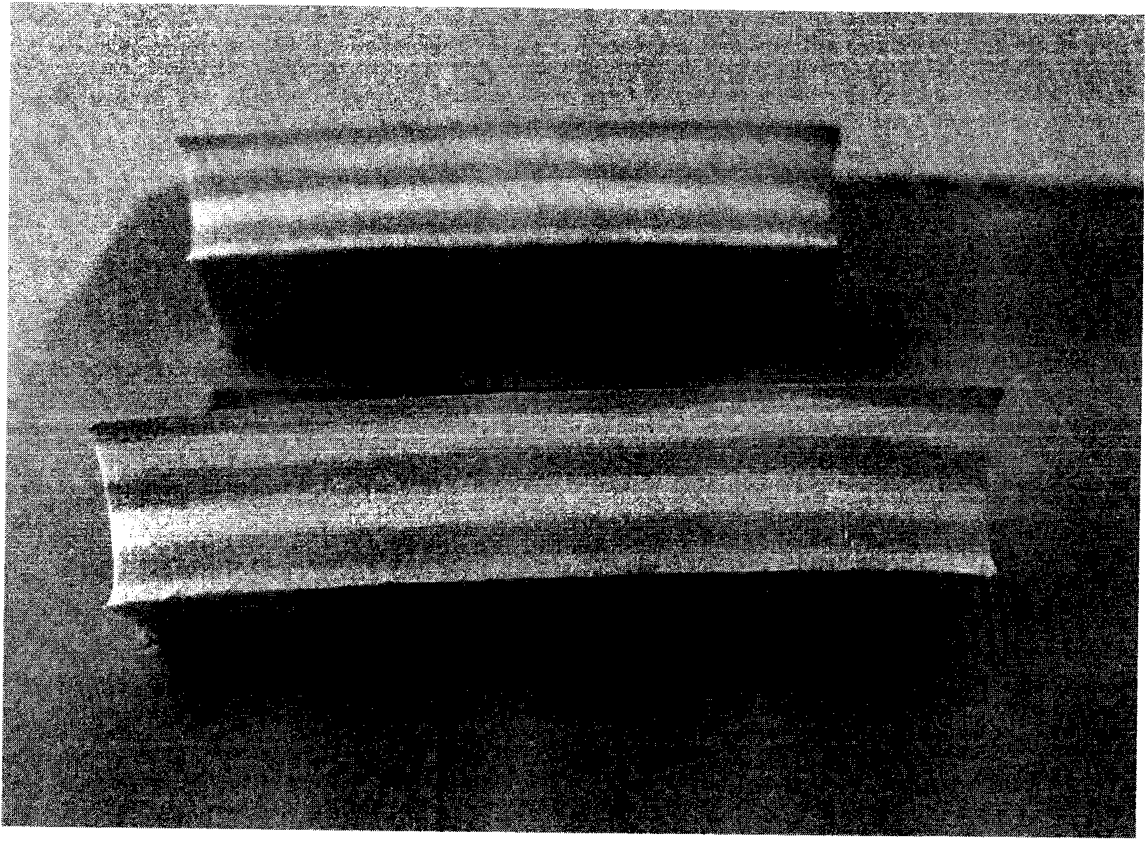 Functional gradient foamed sole material and preparation method thereof