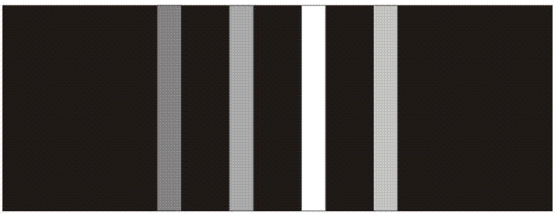 Accurate displacement measurement device with real scales