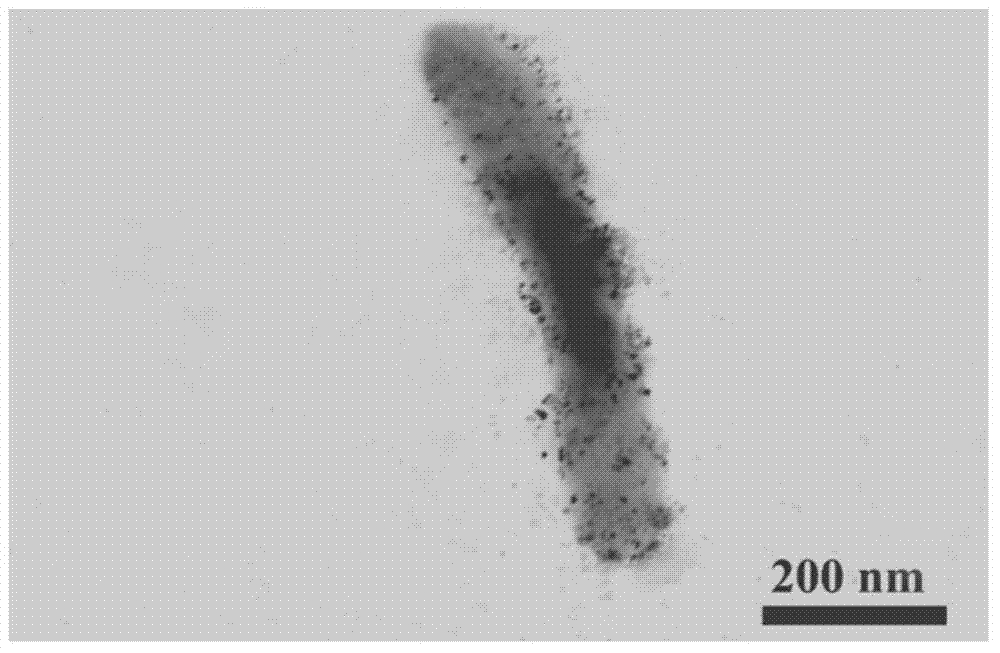 Nanometer silver-nanocrystalline cellulose compound, preparation method of nanometer silver-nanocrystalline cellulose compound, and application of nanometer silver-nanocrystalline cellulose compound