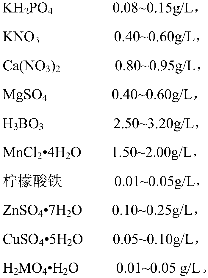 Method for increasing survival rate of kosteletzkya pentacarpos seedlings in saline-alkali soil