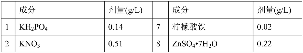 Method for increasing survival rate of kosteletzkya pentacarpos seedlings in saline-alkali soil