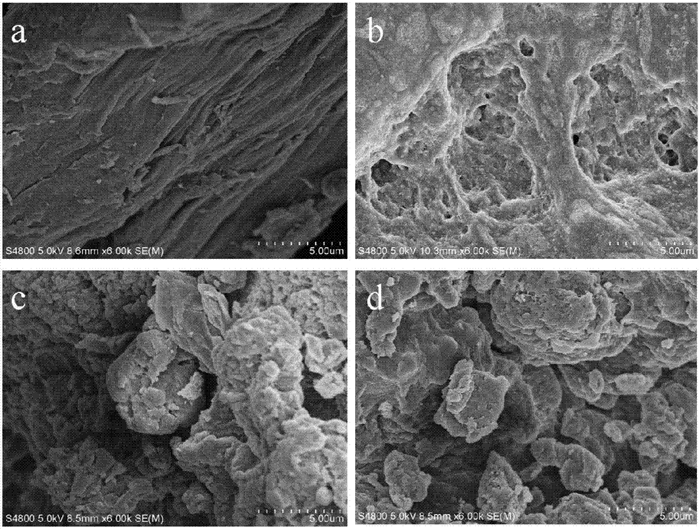 Selective-oxidized chitosan and heterogeneous preparation method thereof