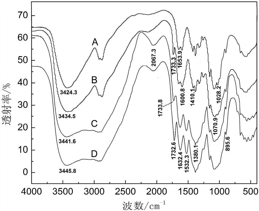 Selective-oxidized chitosan and heterogeneous preparation method thereof