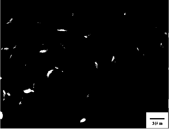 Nano spider web/beaded fiber composite air filter membrane and preparation method thereof