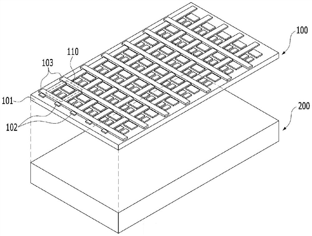 Luminous fingerprint recognition panel and fingerprint recognition display device including same