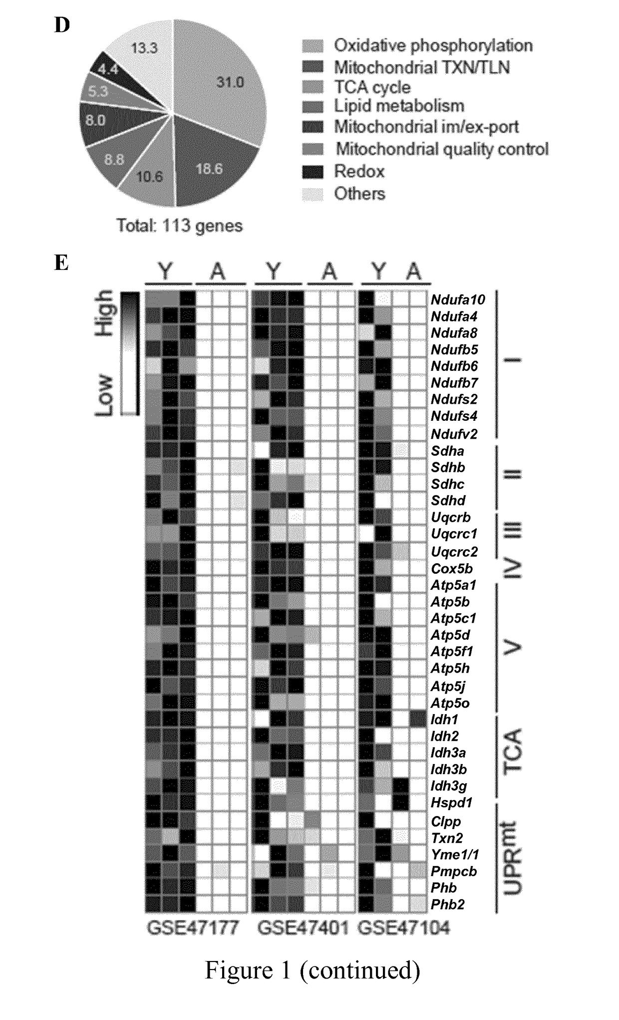 Agents and methods using thereof for the prevention and treatment of stem cell muscle disorders