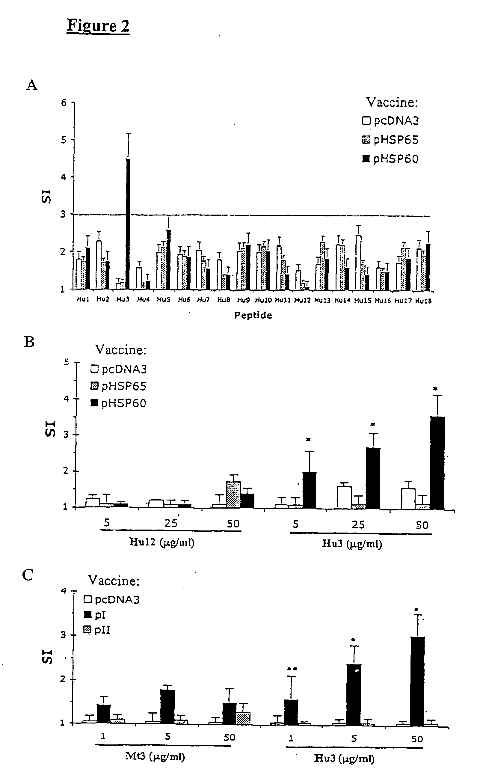 DNA vaccines encoding heat shock proteins