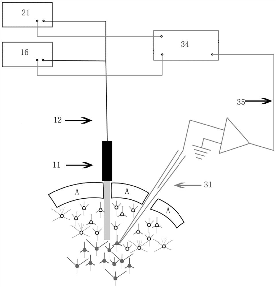 Neural signal recording method and system integrating in-vivo patch clamp and optical fiber records