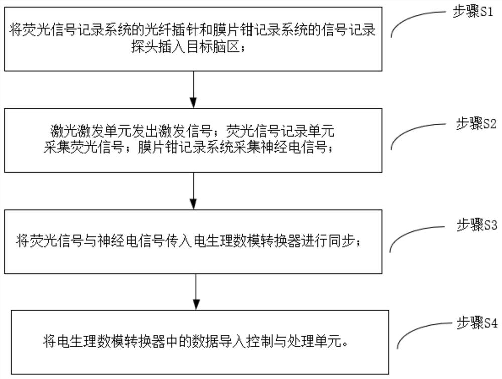 Neural signal recording method and system integrating in-vivo patch clamp and optical fiber records