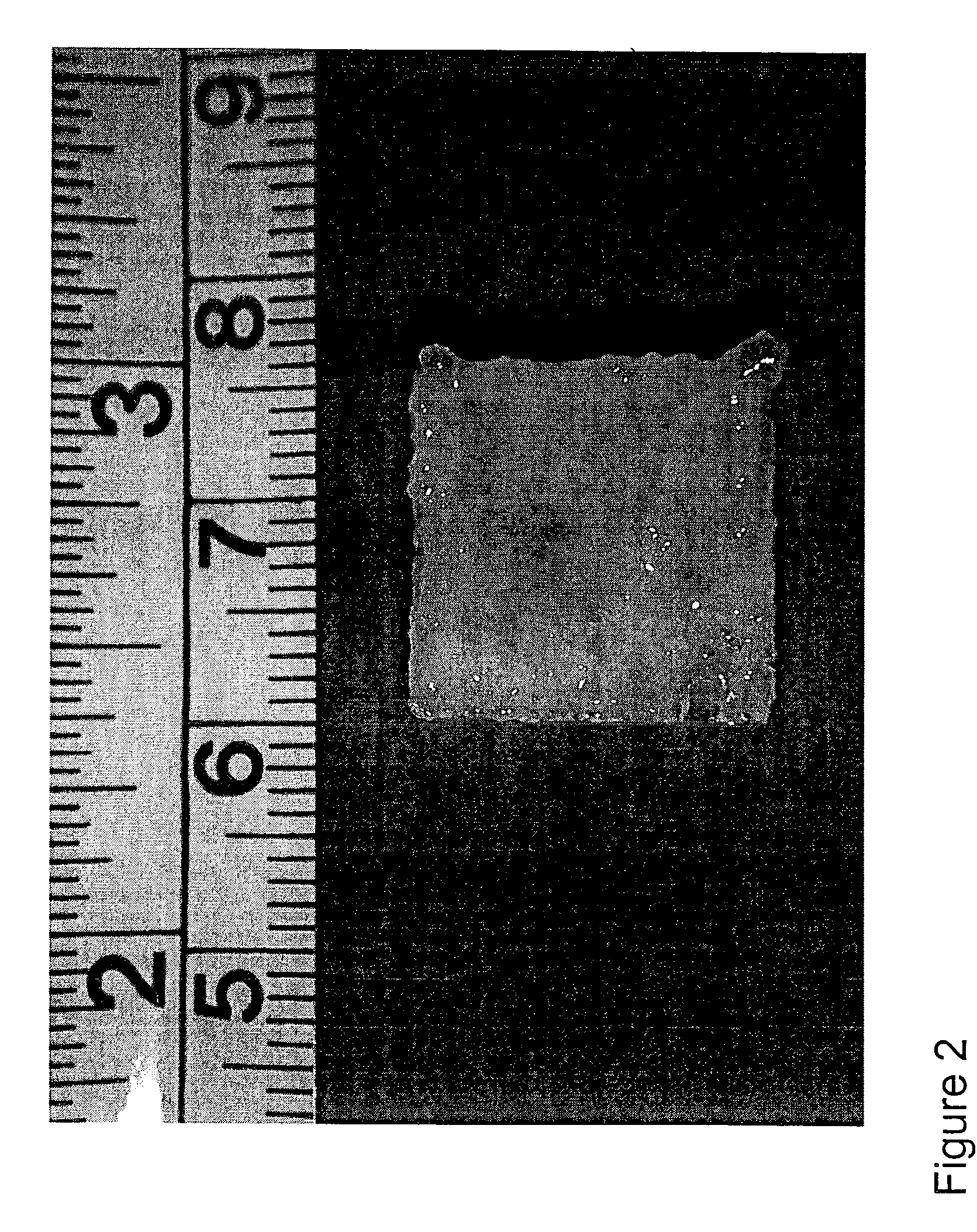 Tissue engineered osteochondral implant