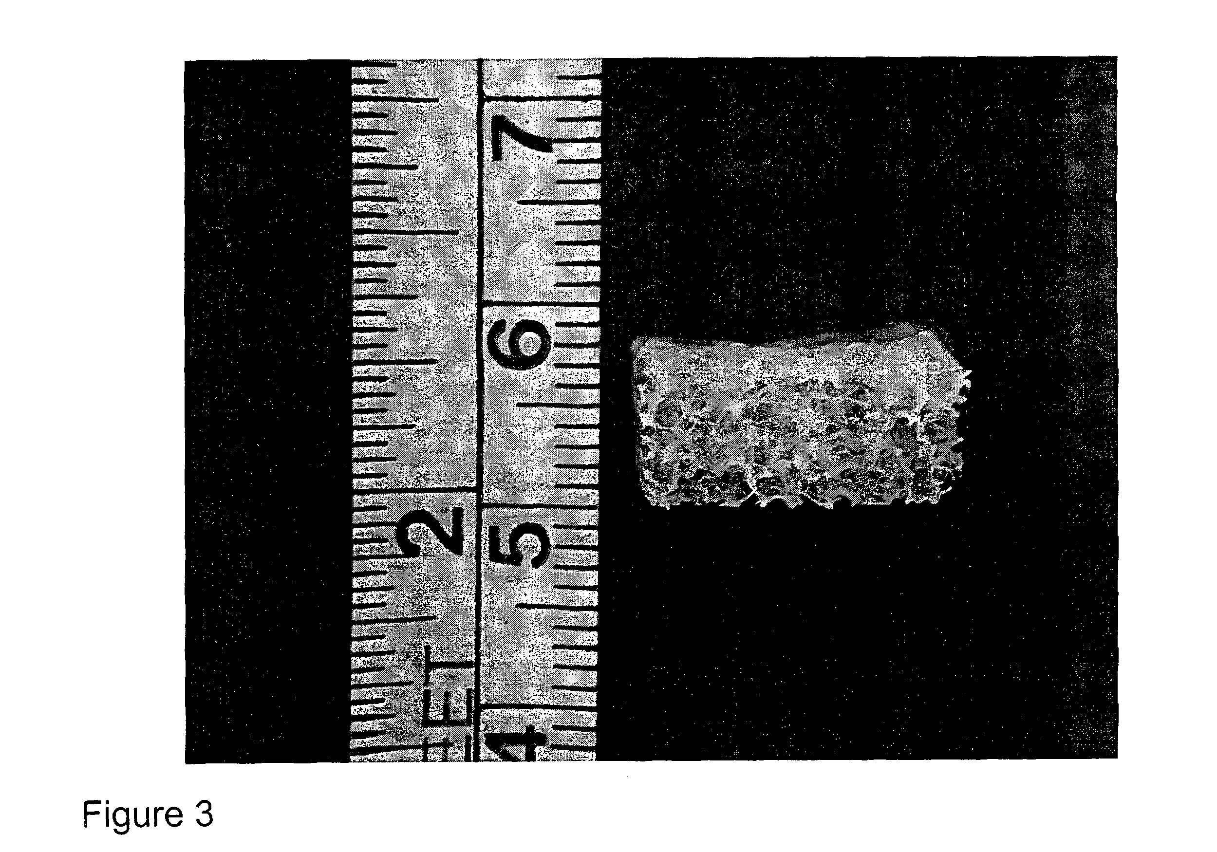 Tissue engineered osteochondral implant