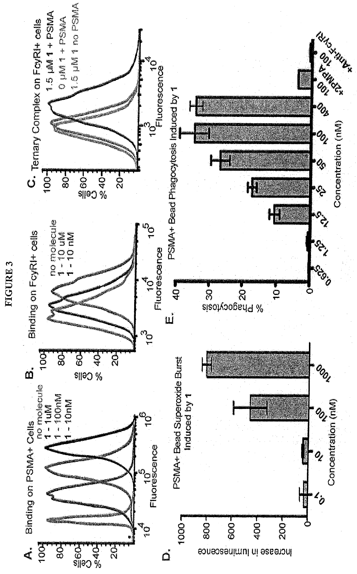 Synthetic antibody mimetic compounds (SYAMS) targeting cancer, especially prostate cancer