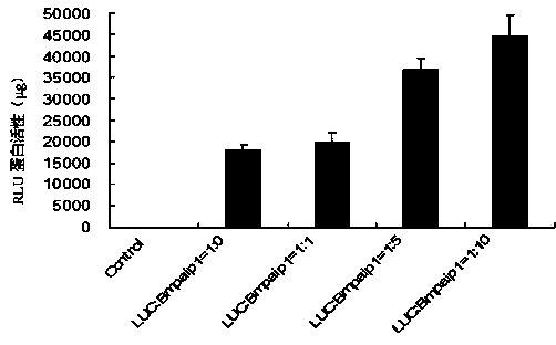 Silkworm PABP (polyadenylic acid bonding protein) bonding protein interacting factor gene BmPaip1 as well as recombinant expression vector and application thereof