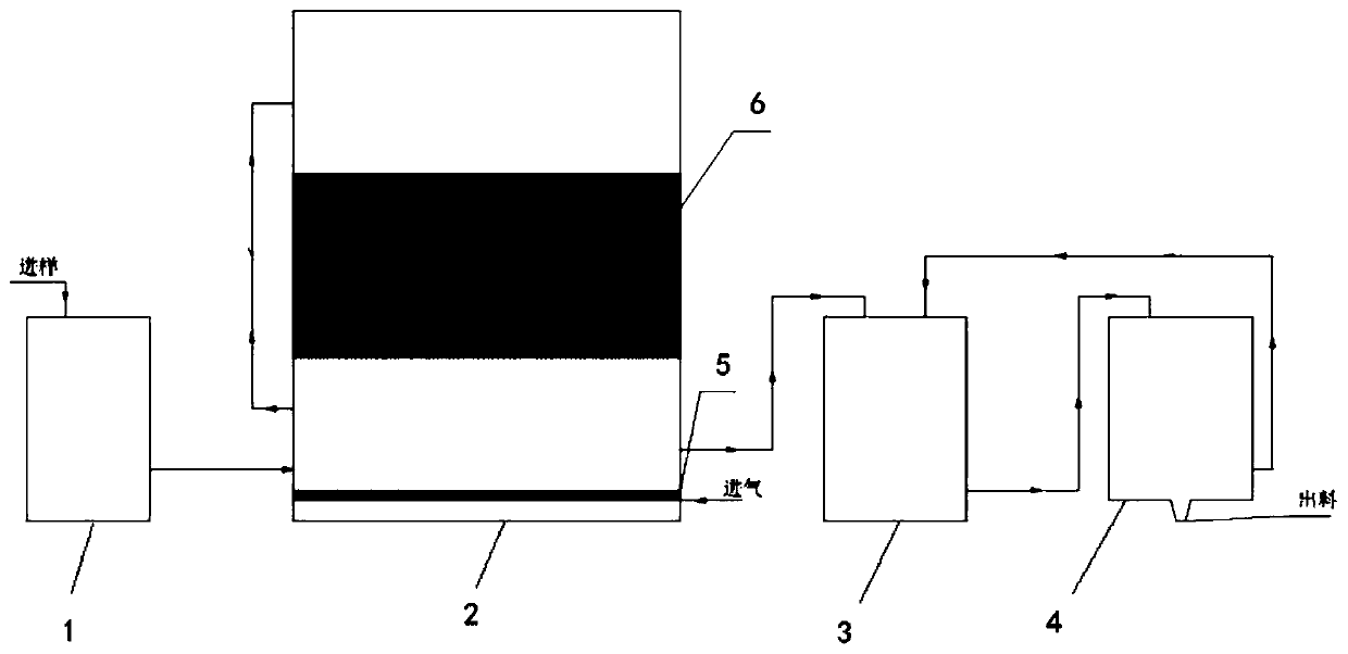 Apparatus and method for catalytic oxidation of magnesium sulfite, and cobalt nitrate/ZSM-5 molecular sieve catalyst and preparation method thereof