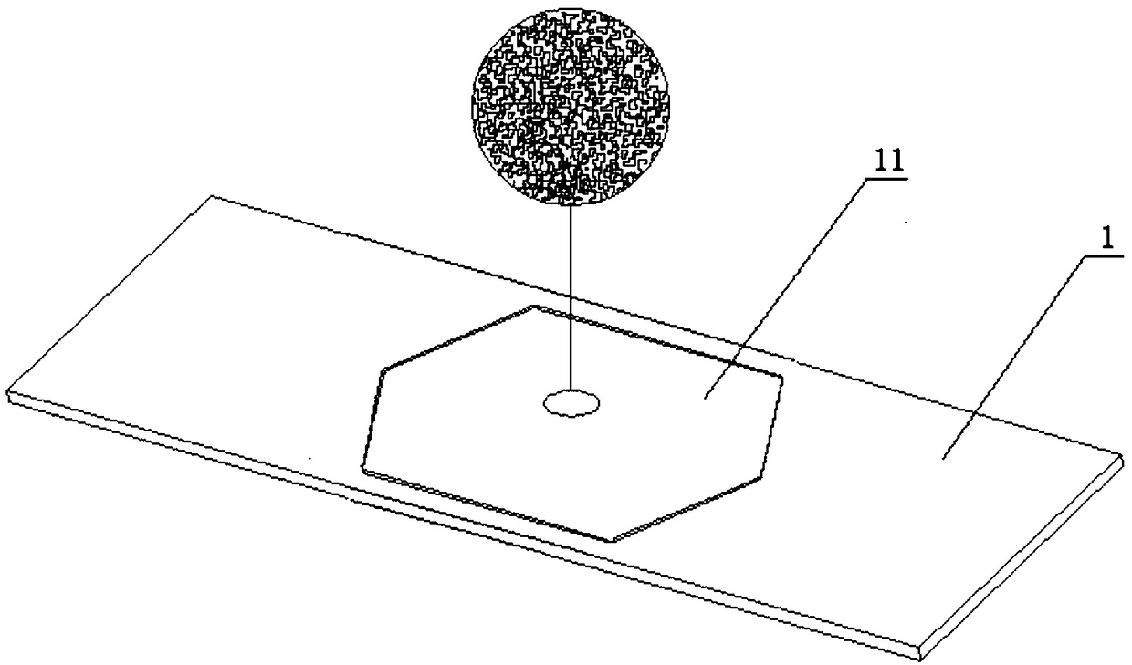 Method for detecting rare cells in blood based on surface enhancement effect