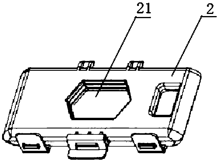 Method for detecting rare cells in blood based on surface enhancement effect