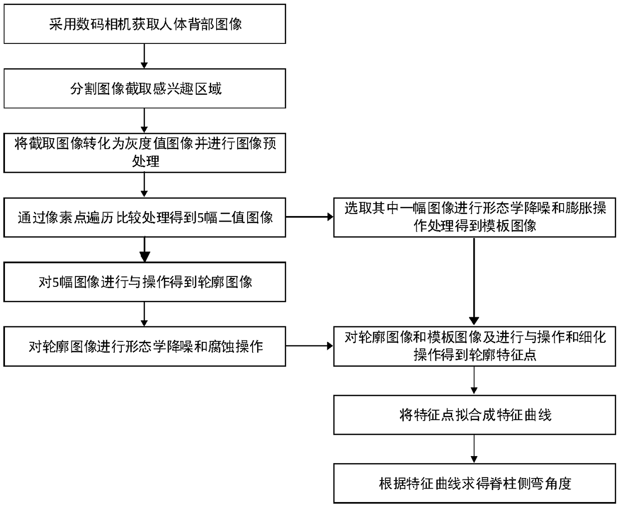 Human back scoliosis angle measuring method based on digital image processing