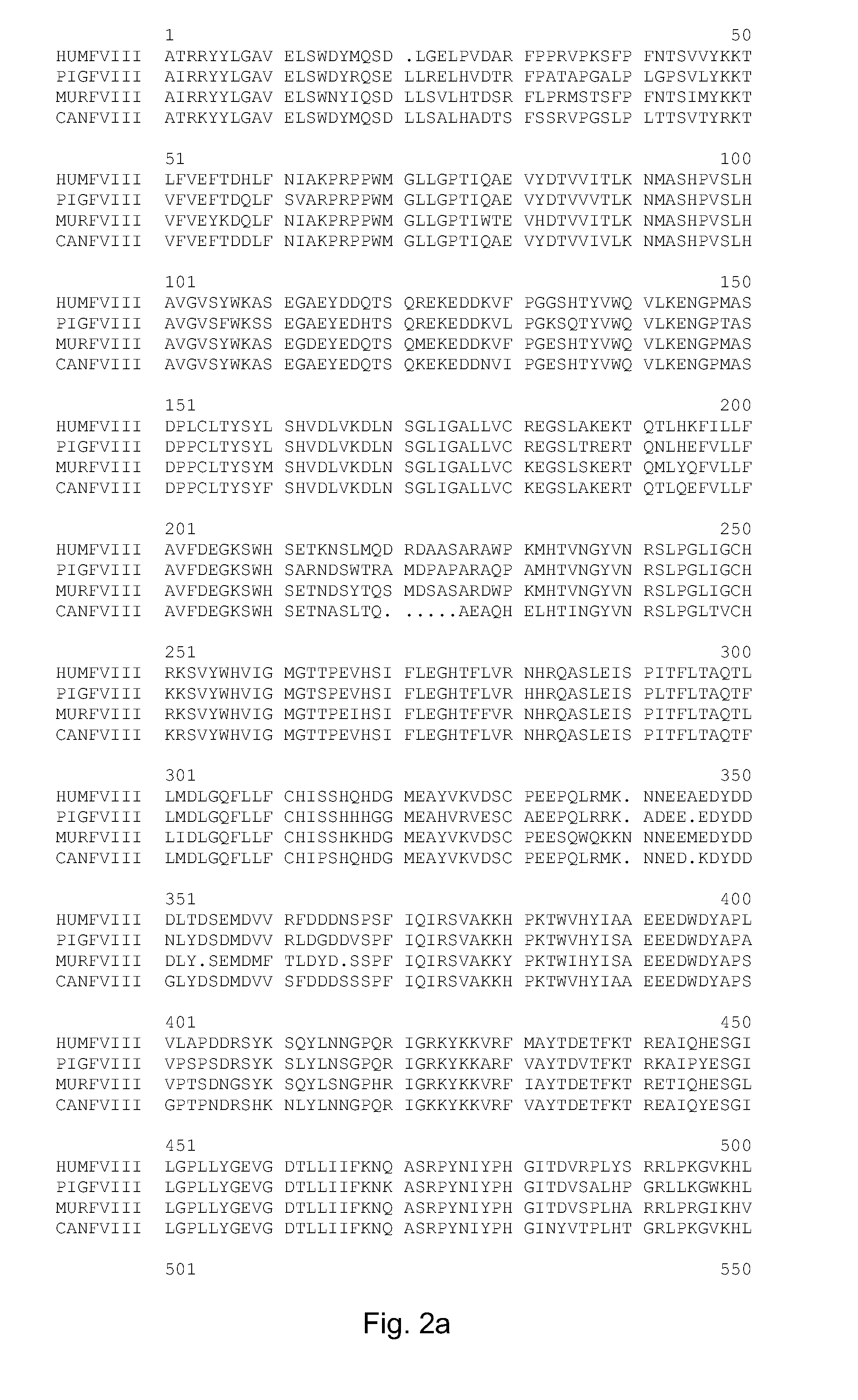 Variant of antihemophilic factor viii having increased specific activity